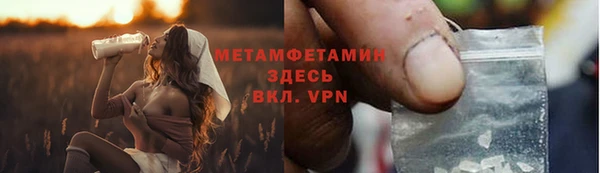 гидра Михайловка